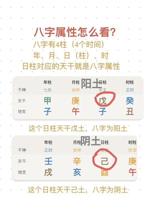 八字地势绝能看出什么意思