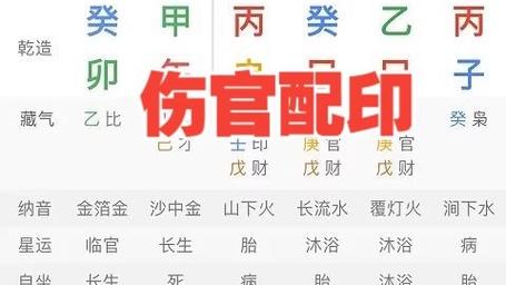 “八字食伤合印主什么好