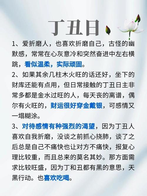 八字专论丁日命例