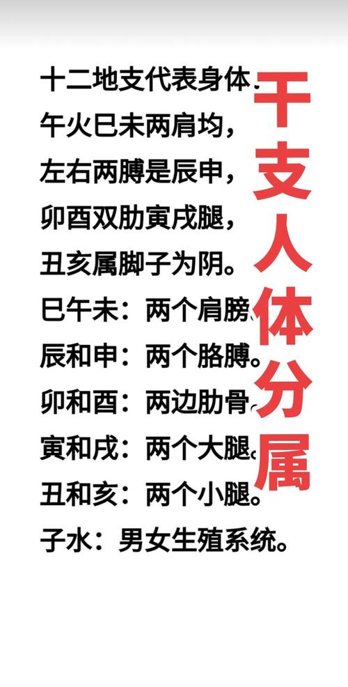 “八字水木生旺怎么办