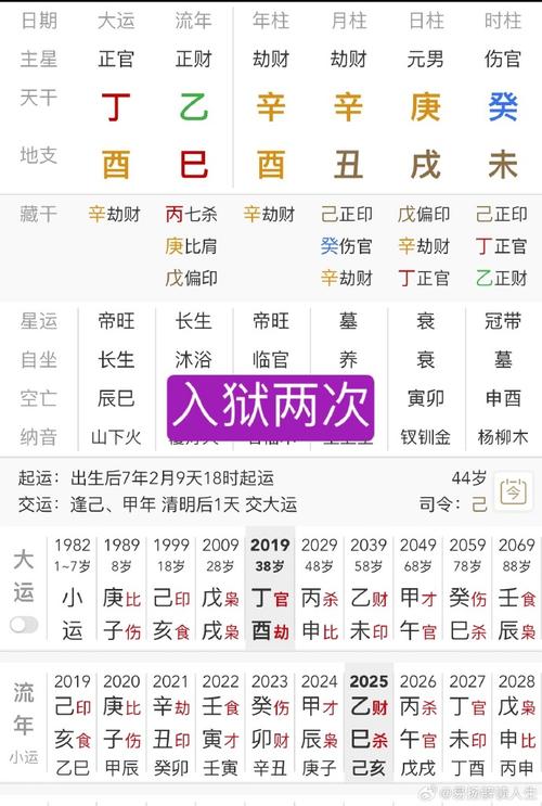 八字女命丙申年辛丑月癸未日壬子时