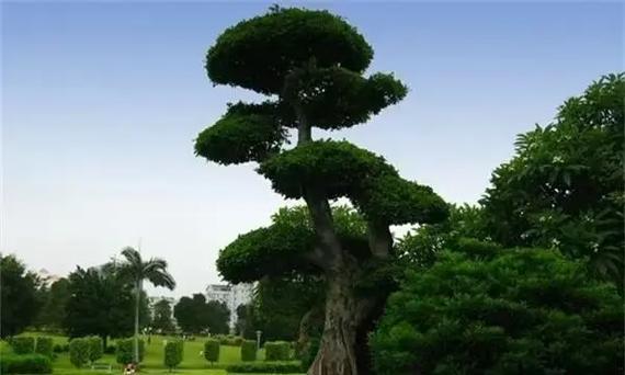 “八字里缺木会怎样