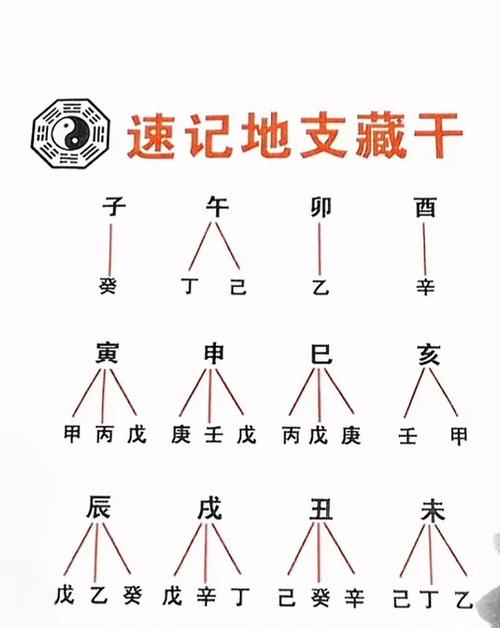 子时的八字是什么