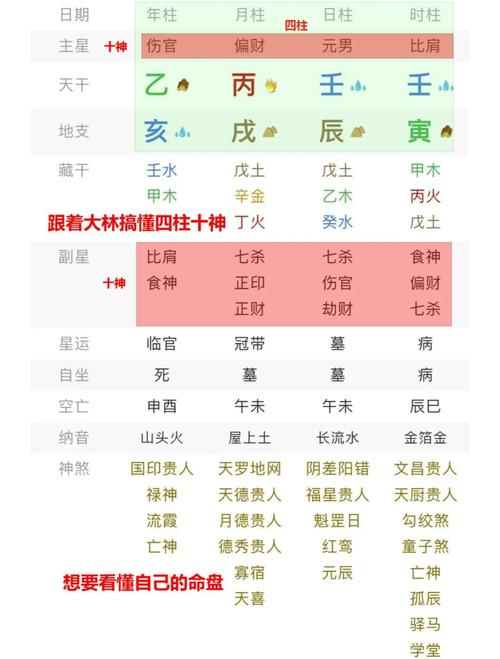“八字里的四支指什么意思