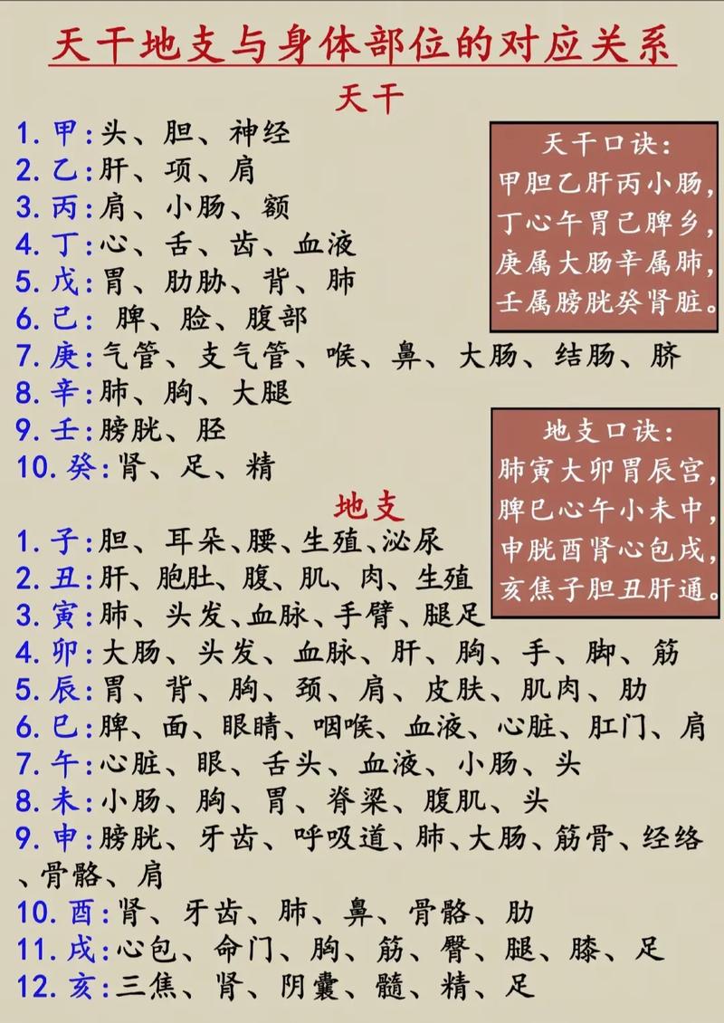 八字里四败叫什么意思