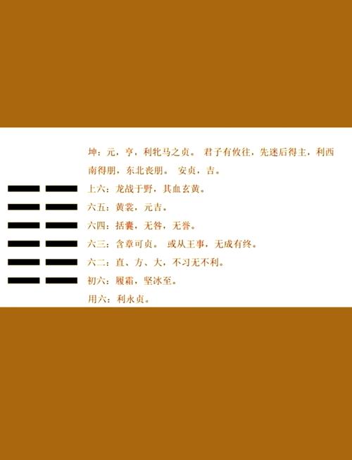 “八字中坤造是什么意思