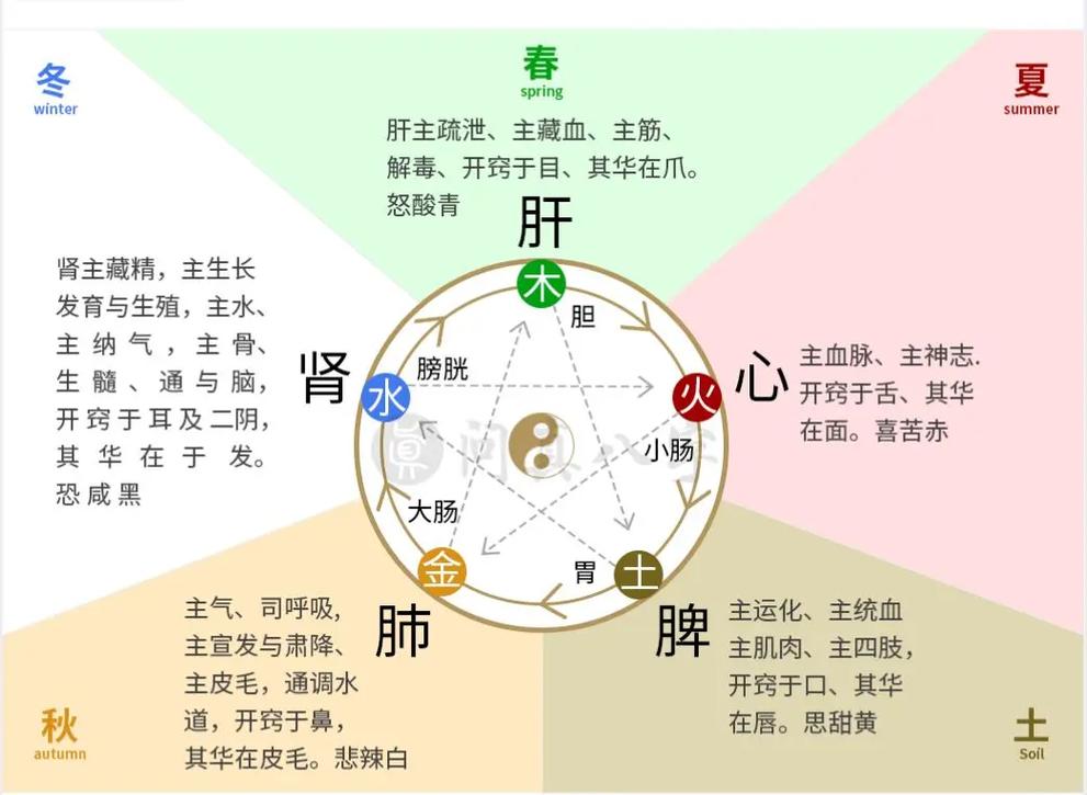 “八字地支主气是什么