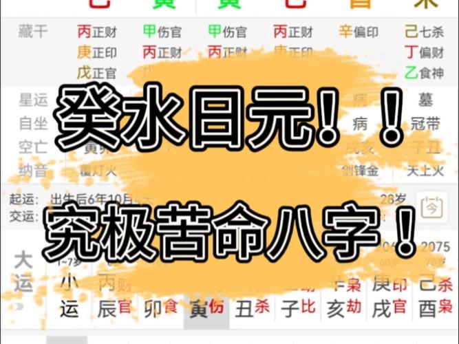 八字壬日藏4癸水