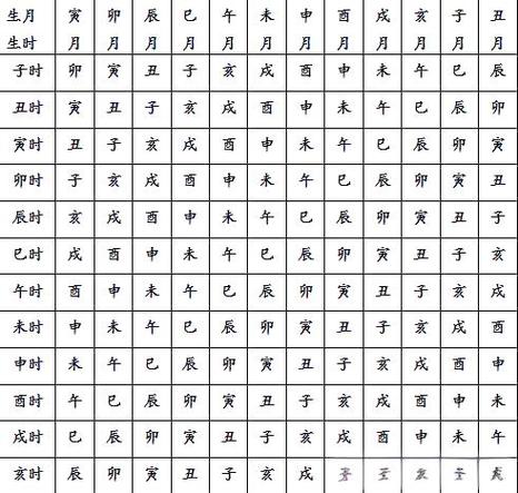 “怎么看八字中地支人元
