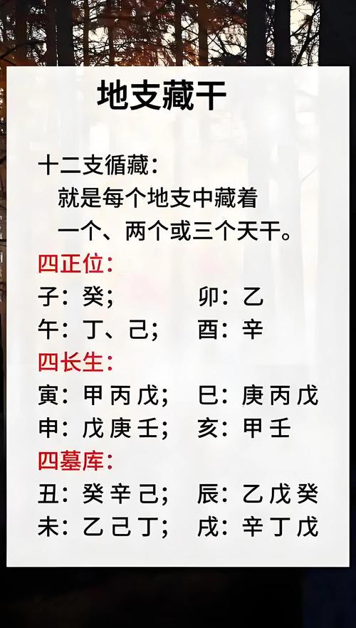 “八字地支藏干详解大全