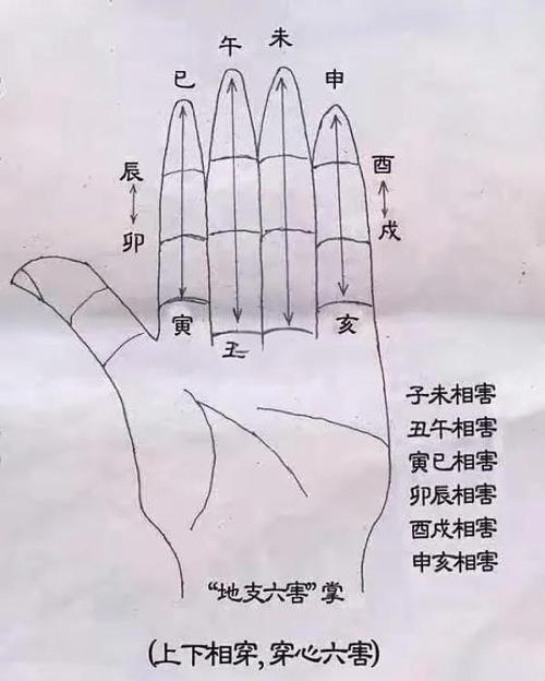 “八字中日支和时支相冲