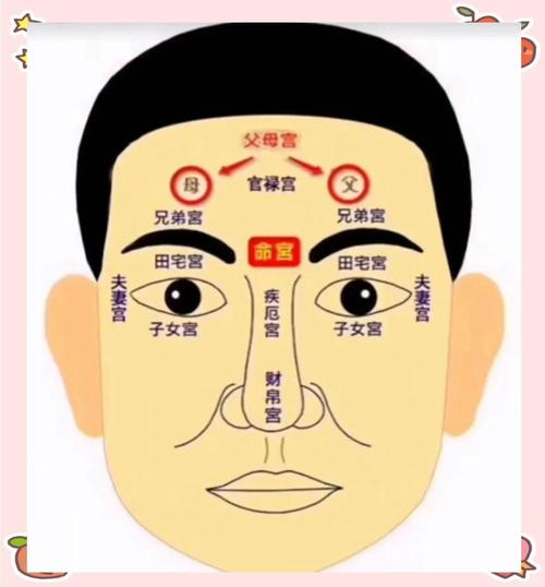 夫妻八字结合看子女宫