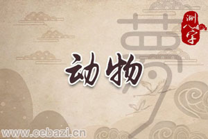 “梦见老鼠全死了