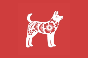 2025年2月22日出生属狗