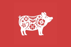 2025年11月14日出生属猪