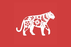 2025年5月21日出生属虎