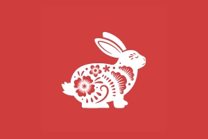 2025年3月11日出生属兔