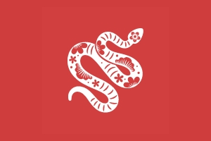 2025年12月26日出生属蛇